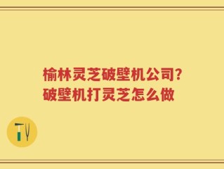 榆林灵芝破壁机公司？破壁机打灵芝怎么做