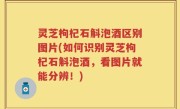 灵芝枸杞石斛泡酒区别图片(如何识别灵芝枸杞石斛泡酒，看图片就能分辨！)