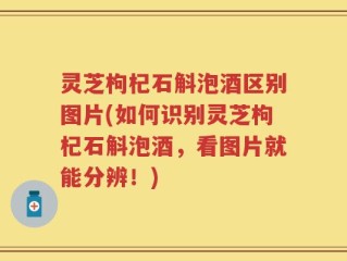 灵芝枸杞石斛泡酒区别图片(如何识别灵芝枸杞石斛泡酒，看图片就能分辨！)