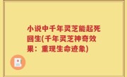 小说中千年灵芝能起死回生(千年灵芝神奇效果：重现生命迹象)