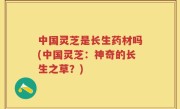 中国灵芝是长生药材吗(中国灵芝：神奇的长生之草？)