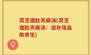 灵芝猪肚天麻汤(灵芝猪肚天麻汤：滋补佳品助养生)