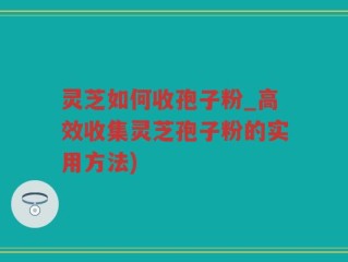 灵芝如何收孢子粉_高效收集灵芝孢子粉的实用方法)
