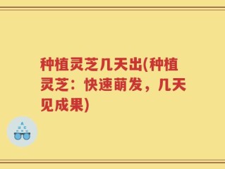 种植灵芝几天出(种植灵芝：快速萌发，几天见成果)