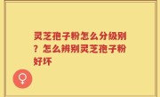 灵芝孢子粉怎么分级别?怎么辨别灵芝孢子粉好坏
