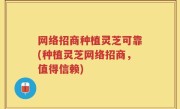网络招商种植灵芝可靠(种植灵芝网络招商，值得信赖)