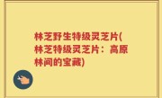 林芝野生特级灵芝片(林芝特级灵芝片：高原林间的宝藏)