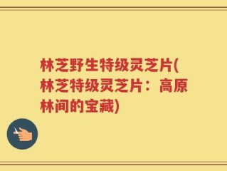 林芝野生特级灵芝片(林芝特级灵芝片：高原林间的宝藏)