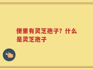 便里有灵芝孢子？什么是灵芝孢子