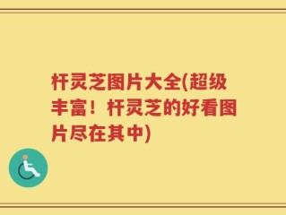 杆灵芝图片大全(超级丰富！杆灵芝的好看图片尽在其中)