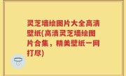 灵芝墙绘图片大全高清壁纸(高清灵芝墙绘图片合集，精美壁纸一网打尽)