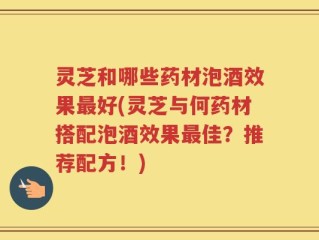 灵芝和哪些药材泡酒效果最好(灵芝与何药材搭配泡酒效果最佳？推荐配方！)
