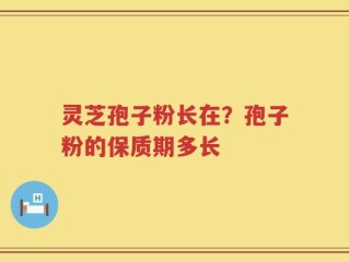 灵芝孢子粉长在？孢子粉的保质期多长