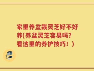 家里养盆栽灵芝好不好养(养盆灵芝容易吗？看这里的养护技巧！)