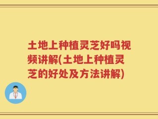 土地上种植灵芝好吗视频讲解(土地上种植灵芝的好处及方法讲解)