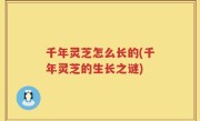 千年灵芝怎么长的(千年灵芝的生长之谜)