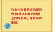 钓鱼钓到灵芝好吗视频大全(重温钓鱼钓到灵芝好吗系列，探索海钓乐趣)