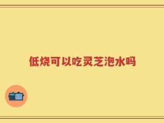 低烧可以吃灵芝泡水吗