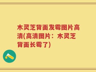木灵芝背面发霉图片高清(高清图片：木灵芝背面长霉了)