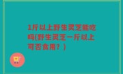 1斤以上野生灵芝能吃吗(野生灵芝一斤以上可否食用？)