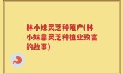 林小妹灵芝种殖户(林小妹靠灵芝种植业致富的故事)