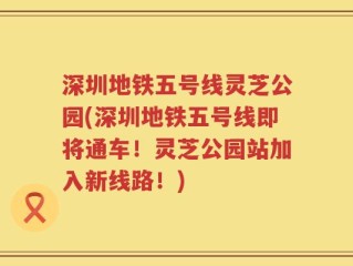 深圳地铁五号线灵芝公园(深圳地铁五号线即将通车！灵芝公园站加入新线路！)