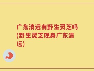 广东清远有野生灵芝吗(野生灵芝现身广东清远)