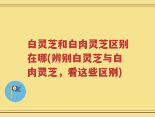 白灵芝和白肉灵芝区别在哪(辨别白灵芝与白肉灵芝，看这些区别)