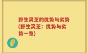 野生灵芝的优势与劣势(野生灵芝：优势与劣势一览)