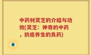 中药材灵芝的介绍与功效(灵芝：神奇的中药，抗癌养生的良药)
