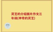 灵芝的介绍图片作文三年级(神奇的灵芝)
