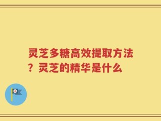 灵芝多糖高效提取方法？灵芝的精华是什么