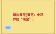 聚焦灵芝(灵芝：中药界的“瑰宝”)