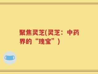 聚焦灵芝(灵芝：中药界的“瑰宝”)