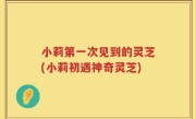 小莉第一次见到的灵芝(小莉初遇神奇灵芝)