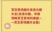 灵芝意境图片高清大图大全(高清大图，尽情领略灵芝意境的美丽——灵芝意境图片全集)