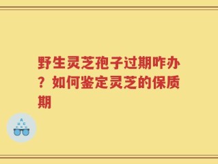 野生灵芝孢子过期咋办？如何鉴定灵芝的保质期