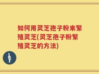 如何用灵芝孢子粉来繁殖灵芝(灵芝孢子粉繁殖灵芝的方法)