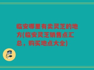 临安哪里有卖灵芝的地方(临安灵芝销售点汇总，购买地点大全)