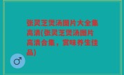 张灵芝煲汤图片大全集高清(张灵芝煲汤图片高清合集，赏味养生佳品)