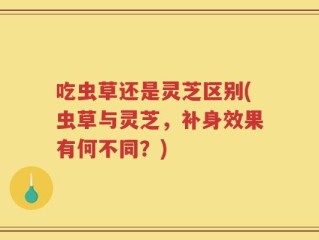 吃虫草还是灵芝区别(虫草与灵芝，补身效果有何不同？)