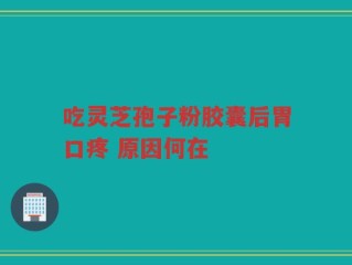 吃灵芝孢子粉胶囊后胃口疼 原因何在