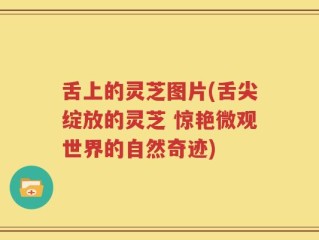 舌上的灵芝图片(舌尖绽放的灵芝 惊艳微观世界的自然奇迹)