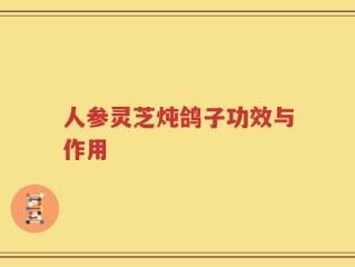 人参灵芝炖鸽子功效与作用