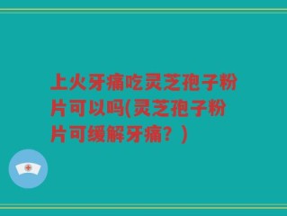 上火牙痛吃灵芝孢子粉片可以吗(灵芝孢子粉片可缓解牙痛？)