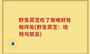野生灵芝吃了有啥好处和坏处(野生灵芝：功效与禁忌)