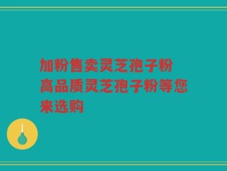 加粉售卖灵芝孢子粉 高品质灵芝孢子粉等您来选购