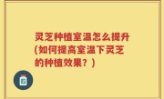 灵芝种植室温怎么提升(如何提高室温下灵芝的种植效果？)