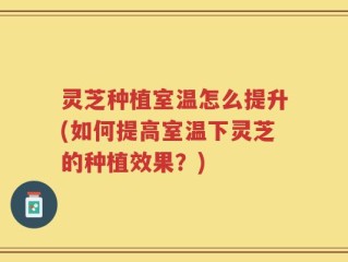 灵芝种植室温怎么提升(如何提高室温下灵芝的种植效果？)