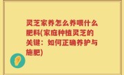 灵芝家养怎么养喂什么肥料(家庭种植灵芝的关键：如何正确养护与施肥)